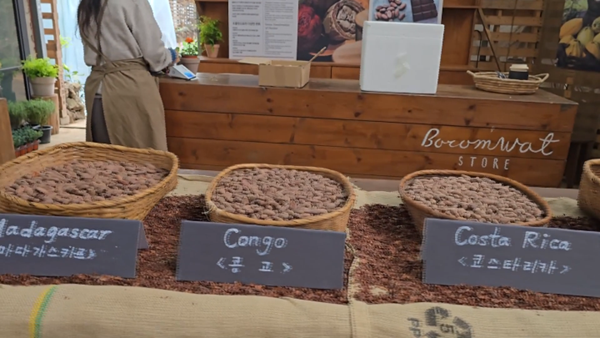 Hàn Quốc tổ chức lễ hội chocolate quốc tế