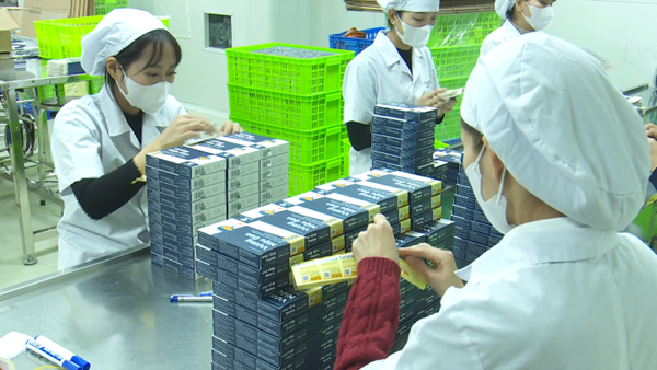 Đến năm 2030 có thêm ít nhất 1 triệu doanh nghiệp