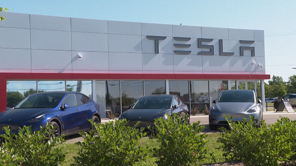 Doanh số bán xe Tesla tại châu Âu giảm gần một nửa