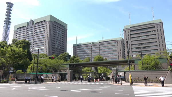 Nhật Bản và các cuộc sáp nhập Heisei vĩ đại