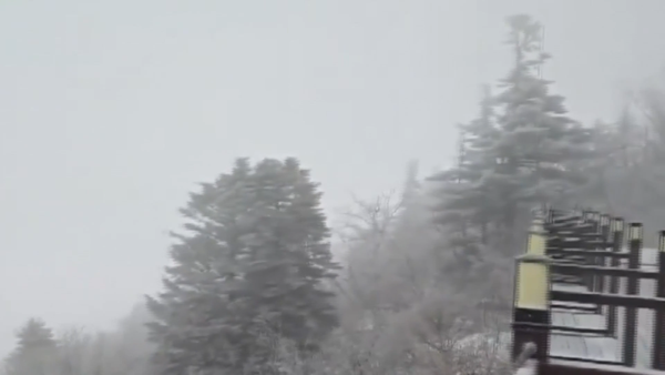 Lần đầu tiên tuyết rơi giữa tháng Tư ở Hàn Quốc