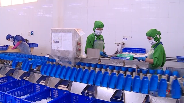 Thành lập Ban Chỉ đạo quốc gia triển khai Nghị quyết về kinh tế tư nhân