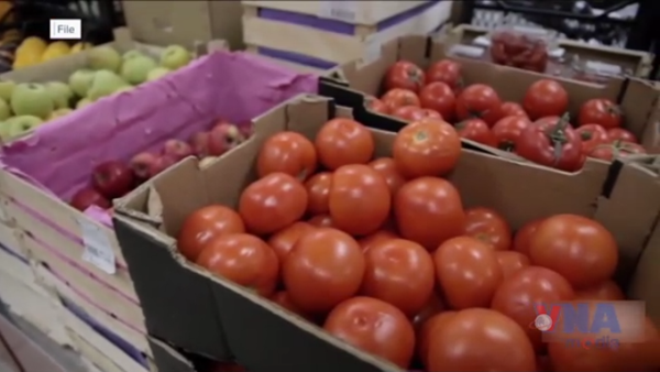 Mỹ áp thuế chống bán phá giá 17% đối với cà chua Mexico