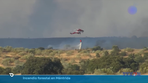 Tây Ban Nha đối mặt nguy cơ cháy rừng dữ dội trong mùa Hè năm nay