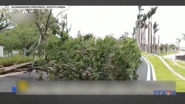 Trung Quốc nâng mức ứng phó khẩn cấp với bão Wipha