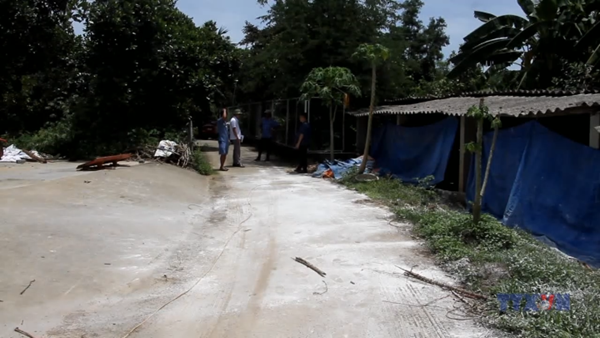 Nghệ An trước nguy cơ dịch tả lợn Châu Phi lan rộng