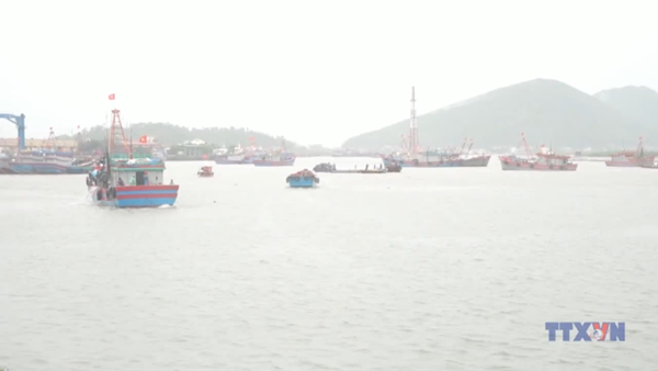 Nghệ An hoàn tất kêu gọi tàu thuyền tránh trú bão