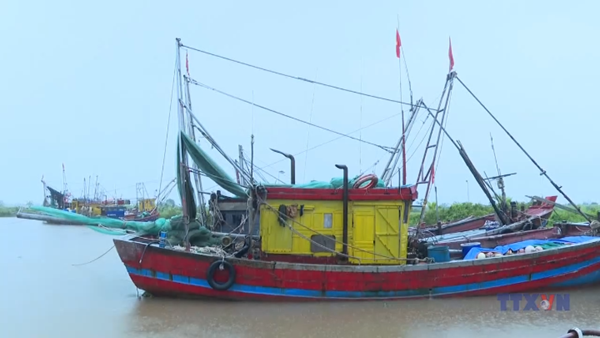 Khẩn trương giúp ngư dân Ninh Bình phòng, chống bão số 3