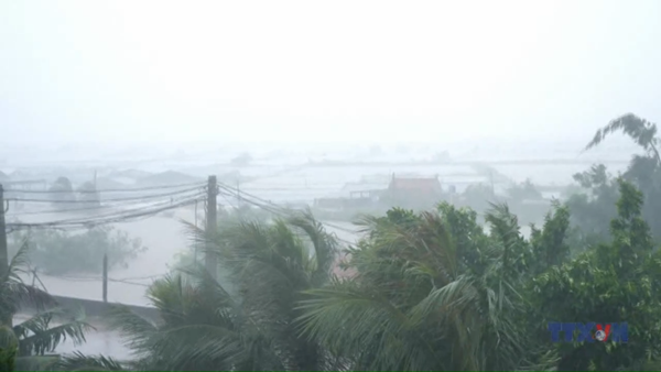 Bão số 3 gây gió giật mạnh, mưa lớn tại Ninh Bình