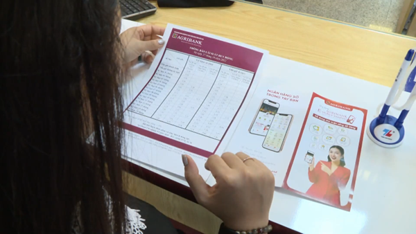 Tín dụng, trái phiếu và FDI cùng tăng trưởng