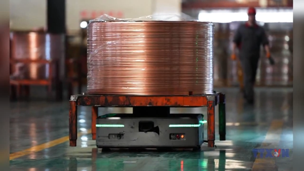 Mỹ chính thức áp thuế 50% đối với đồng nhập khẩu 