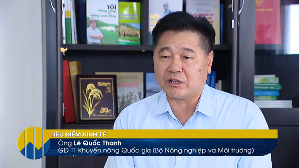 Tiêu điểm kinh tế tuần