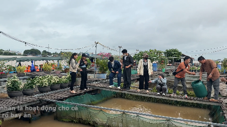 Cồn Sơn: Bản giao hưởng mộc mạc của văn hóa miền Tây