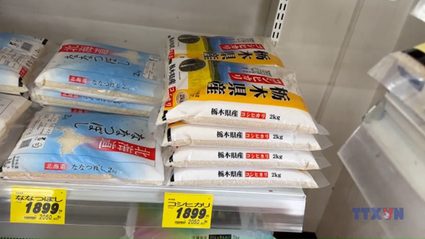 Nhật Bản đảo chiều chính sách lúa gạo