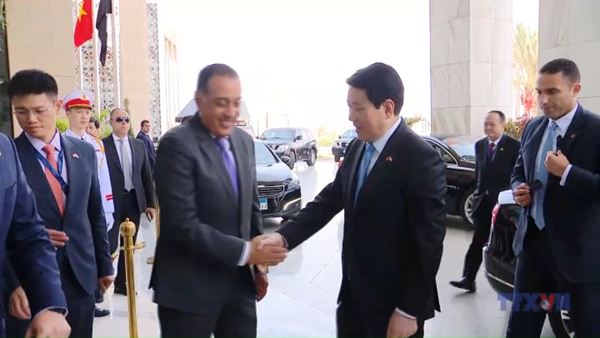 Chủ tịch nước Lương Cường hội kiến Thủ tướng Ai Cập