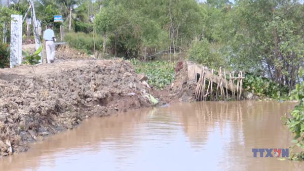 Sạt lở nặng bờ kênh rạch tại xã Hội Cư, Đồng Tháp
