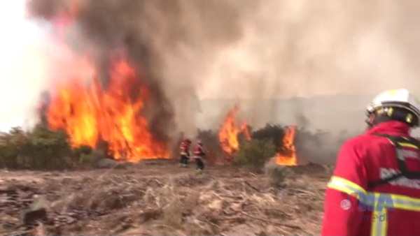 Nắng nóng, cháy rừng vẫn hoành hành tại nhiều nước châu Âu