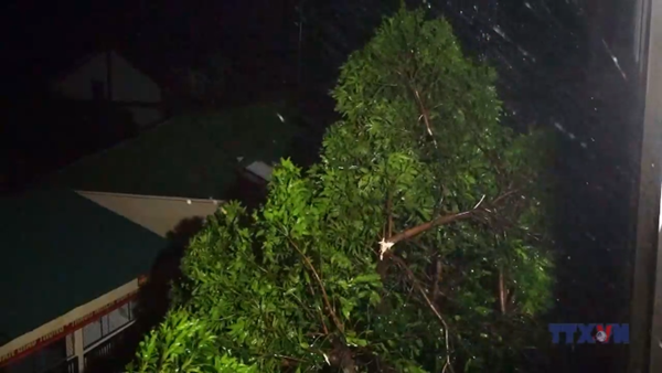 Bão số 5 gây thiệt hại nặng nề tại Hà Tĩnh