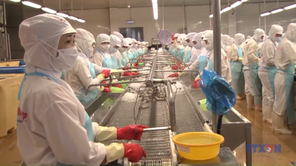 Nông nghiệp kiên định mục tiêu 65 tỷ USD xuất khẩu