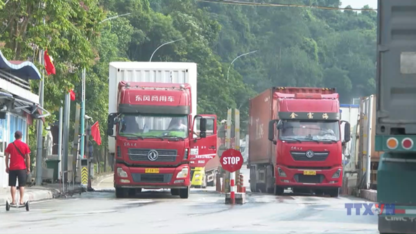 Khuyến nghị thông quan qua cửa khẩu quốc tế Hữu Nghị vào khung giờ sáng