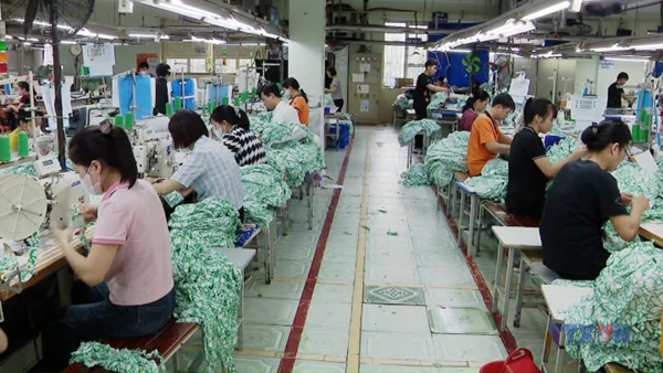 Đơn hàng quay lại, việc làm ổn định