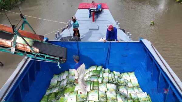 Đảm bảo mục tiêu xuất khẩu gạo năm 2025