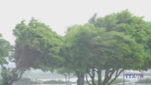 Bão số 9 giật cấp 17