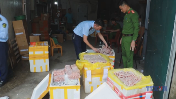 Hàng nghìn chân gà, xúc xích, nem chua thịt đông lạnh không rõ nguồn gốc