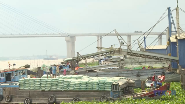 Tăng cường ổn định thị trường gạo