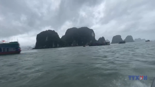 Thường trực Ban Bí thư chỉ đạo ứng phó với bão số 9 (Ragasa)