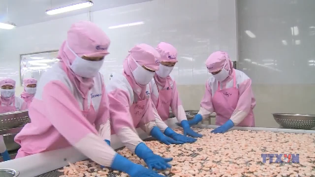 Doanh nghiệp tư nhân Việt Nam trong kỷ nguyên vươn mình