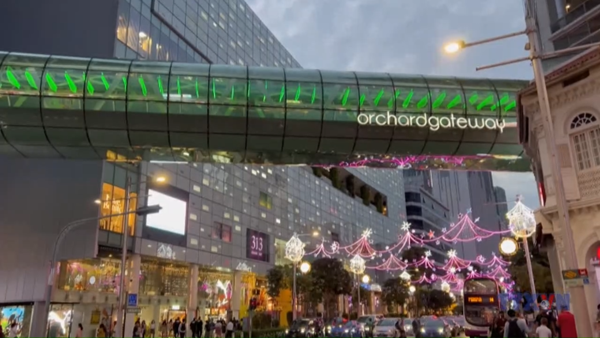 Bánh Trung thu “sinh thái”- xu hướng phổ biến tại Singapore