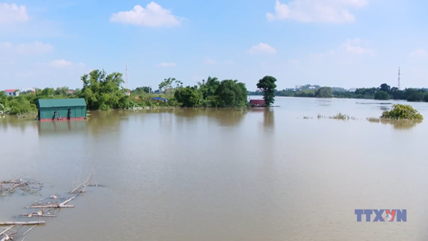 43 sự cố đê điều đang uy hiếp an toàn chống lũ