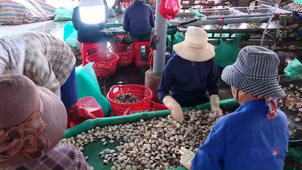 Hiệu quả từ các mô hình kinh tế tập thể