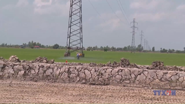 Cần Thơ chi 40 tỷ đồng di dời đường điện ảnh hưởng cao tốc