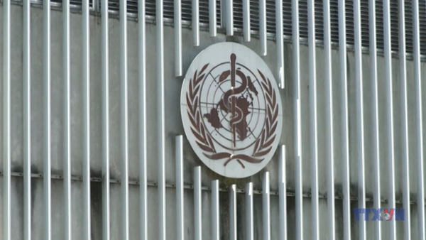 WHO cảnh báo tình trạng nhiễm khuẩn kháng thuốc gia tăng