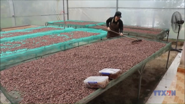 Đôi bạn gái trẻ đưa hương vị ca cao Lâm Đồng ra thế giới