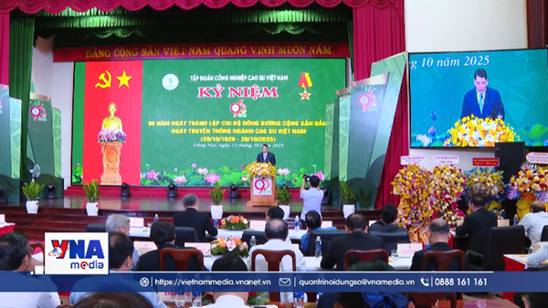 Ngành cao su tái cơ cấu, chuyển đổi cây trồng, ngành nghề phù hợp quy hoạch
