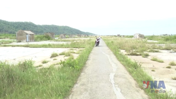 Diêm dân bỏ nghề, những đồng muối ở Thanh Hóa bị bỏ hoang