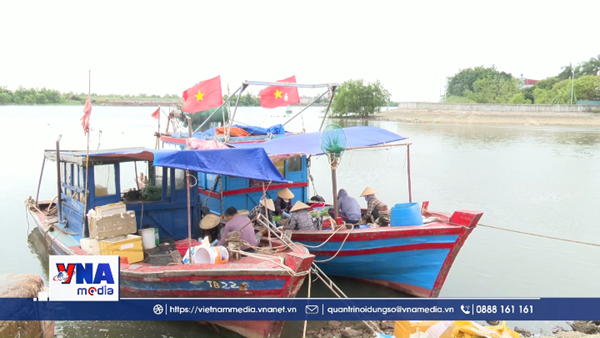 Ngư dân Hưng Yên chung tay chống IUU