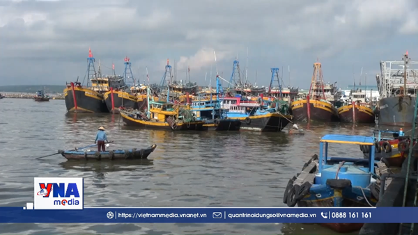 IUU - Lâm Đồng xử lý dứt điểm 100% tàu cá mất kết nối VMS