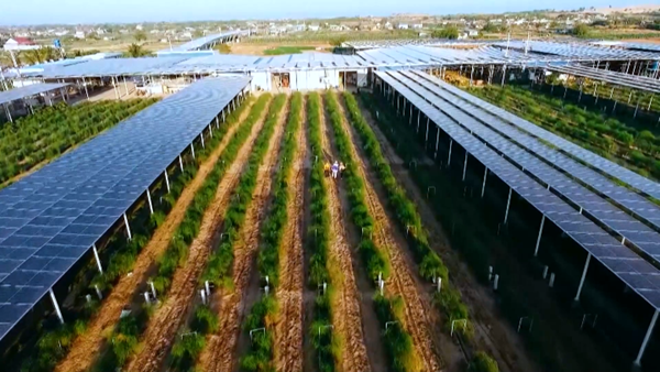 Đảm bảo an toàn nguồn vốn tín dụng của Nhà nước 