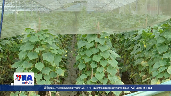 Phú Thọ hướng tới nền nông nghiệp thân thiện với môi trường