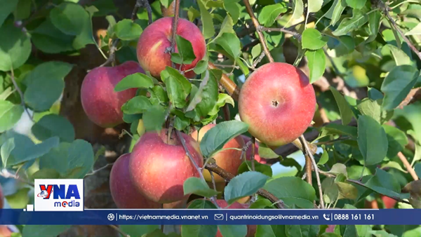 Nông nghiệp thích ứng biến đổi khí hậu