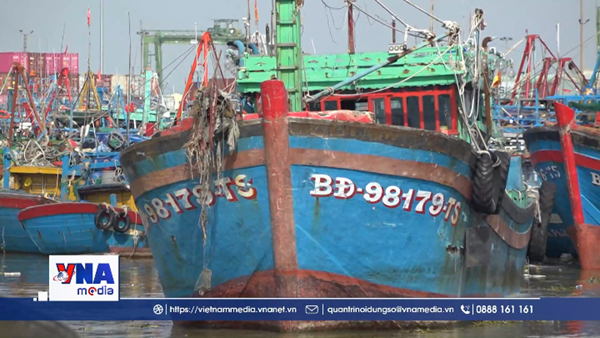 Ngư dân Gia Lai vươn khơi sau bão