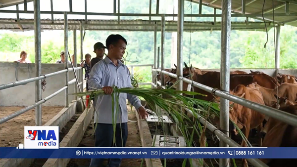 Thoát nghèo nhờ nguồn lực hỗ trợ từ Chương trình mục tiêu quốc gia