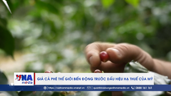 Giá cà phê thế giới biến động trước dấu hiệu hạ thuế của Mỹ