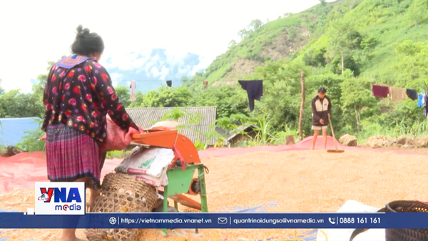 Phụ nữ xã vùng cao biên giới Dào San chung tay phát triển kinh tế