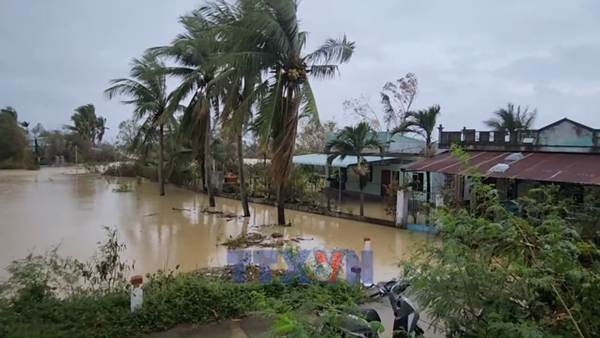 Mưa lớn làm nhiều khu vực phía Đông Gia Lai bị ngập cục bộ