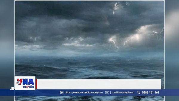 Cảnh báo diễn biến Bão số 15